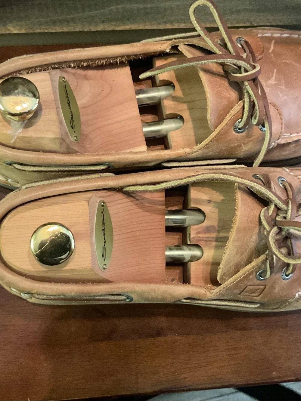 Sperry timeless leather